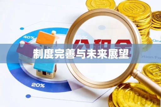 溆浦制度完善与未来展望