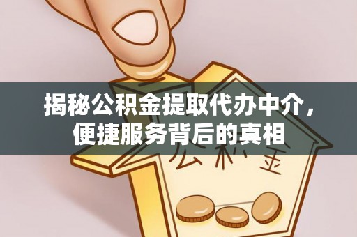 溆浦揭秘公积金提取代办中介，便捷服务背后的真相