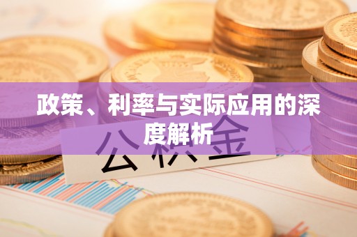 溆浦政策、利率与实际应用的深度解析