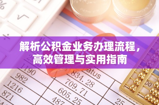 溆浦解析公积金业务办理流程，高效管理与实用指南