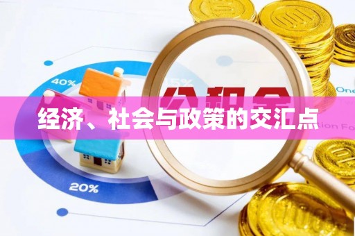 溆浦经济、社会与政策的交汇点